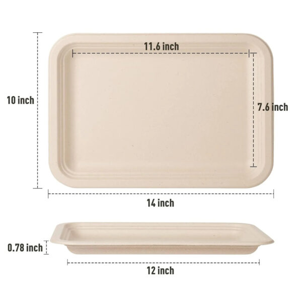 Rectangular Sugarcane Bagasse Tray for Foodservice