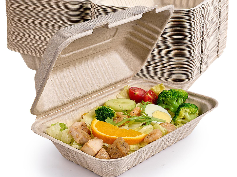 Recyclability vs Food Waste Choosing the Greener Food Pack