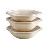 Square Bagasse Bowl with Clear Lid for Salad Meals