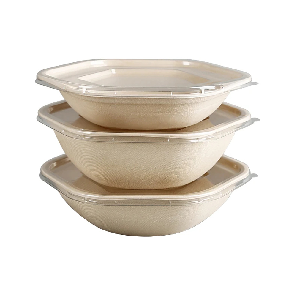 Square Bagasse Bowl with Clear Lid for Salad Meals