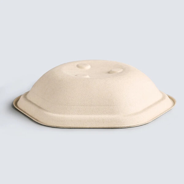 Square Bagasse Bowl with Clear Lid for Salad Meals
