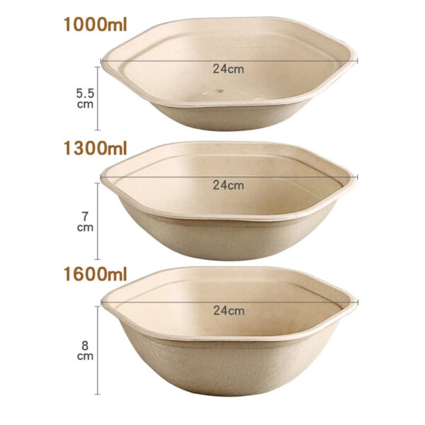 Square Bagasse Bowl with Clear Lid for Salad Meals