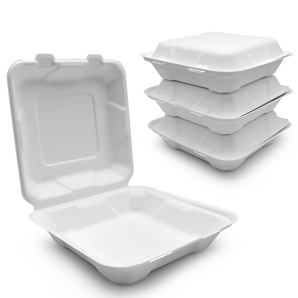 Square Bagasse Clamshell Takeout Box for Food Packaging