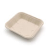 Square Bagasse-Style Food Tray for Takeaway