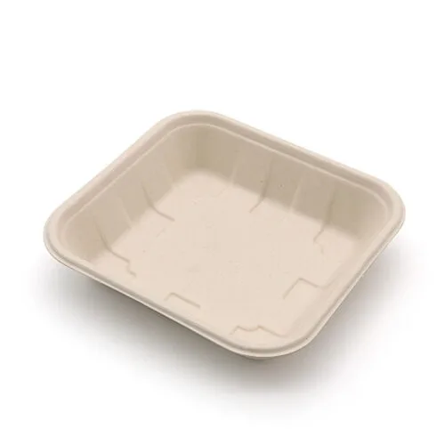 Square Bagasse-Style Food Tray for Takeaway