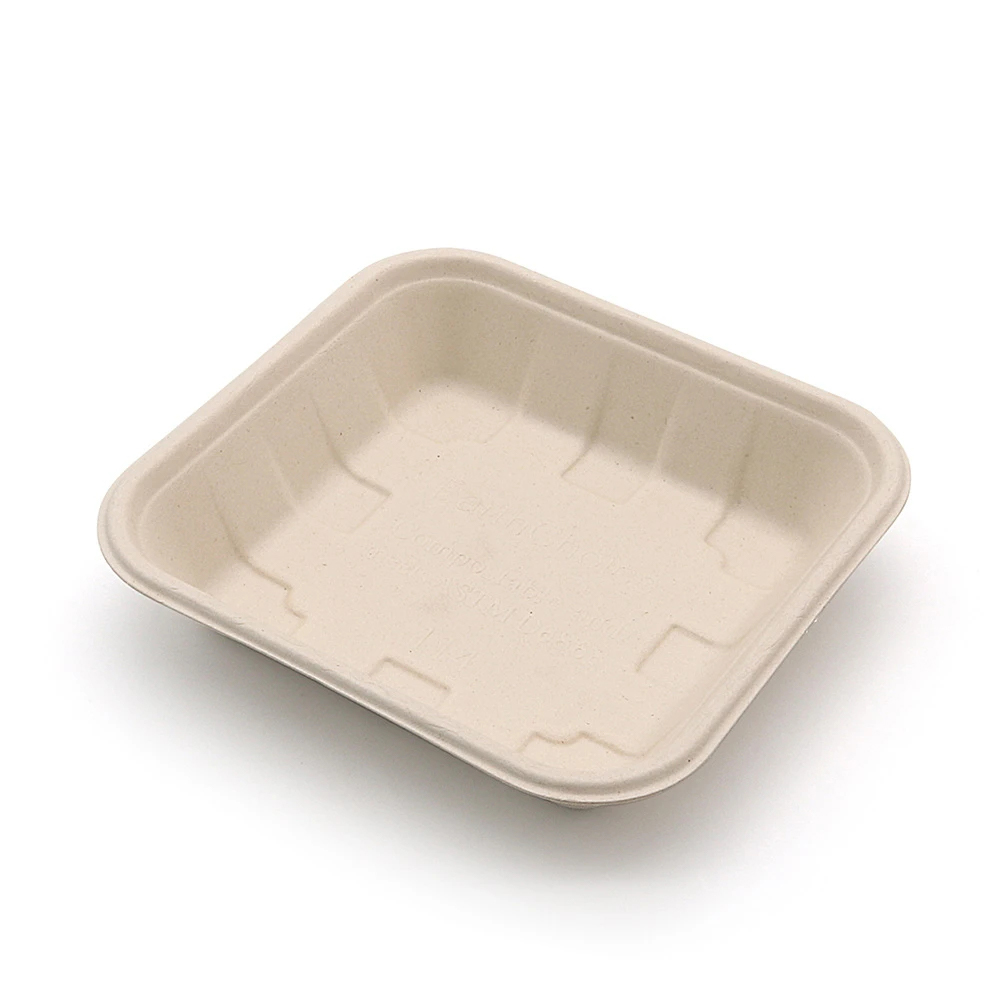 Square Bagasse-Style Food Tray for Takeaway