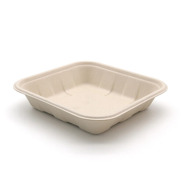 Square Bagasse-Style Food Tray for Takeaway