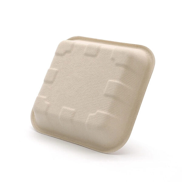 Square Bagasse-Style Food Tray for Takeaway