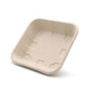 Square Bagasse-Style Food Tray for Takeaway