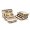 Square Bagasse-Style Food Tray for Takeaway