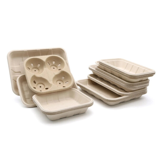 Square Bagasse-Style Food Tray for Takeaway