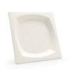 Square Bagasse-Style Plate for Catering Meals
