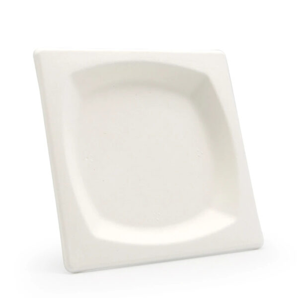 Square Bagasse-Style Plate for Catering Meals