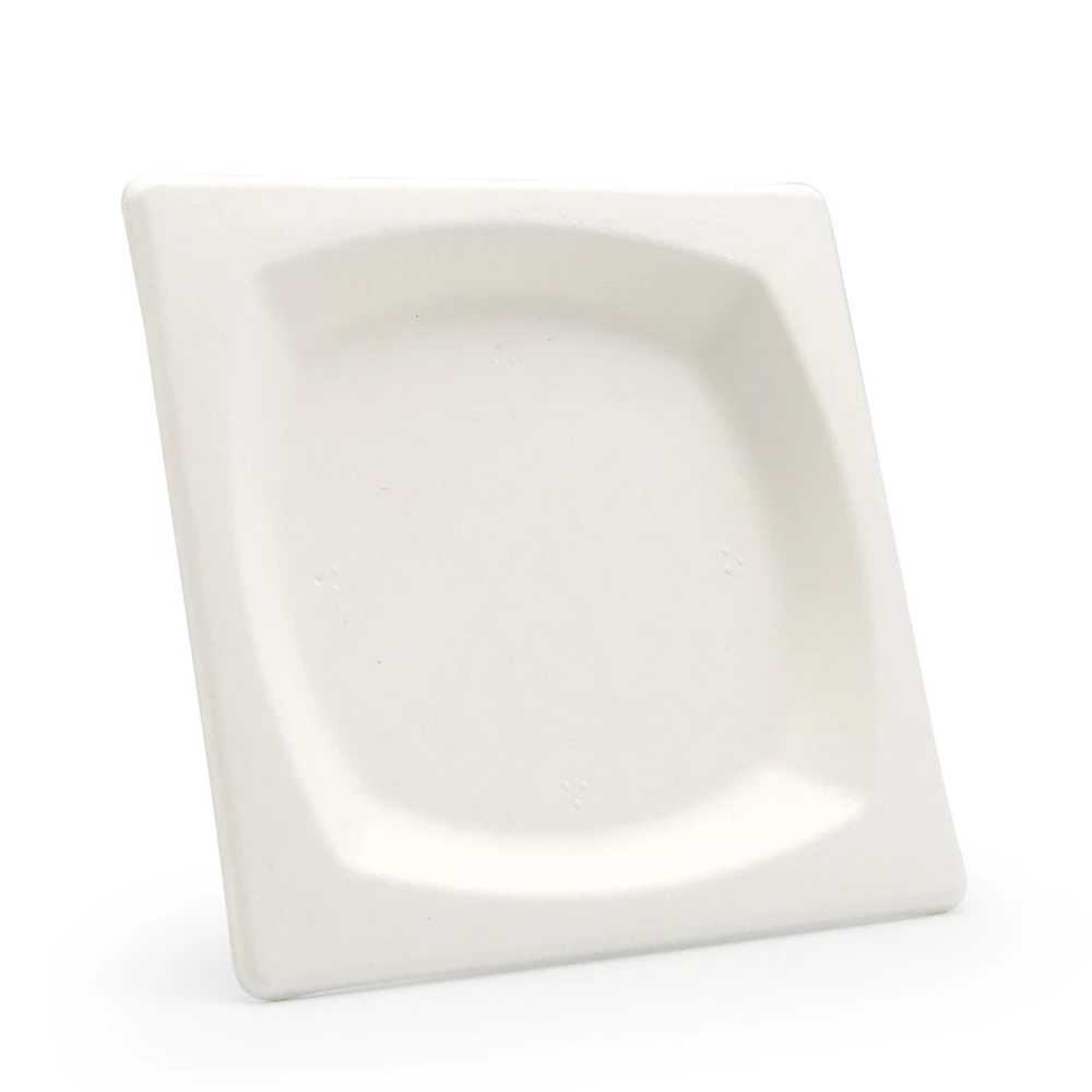 Square Bagasse-Style Plate for Catering Meals