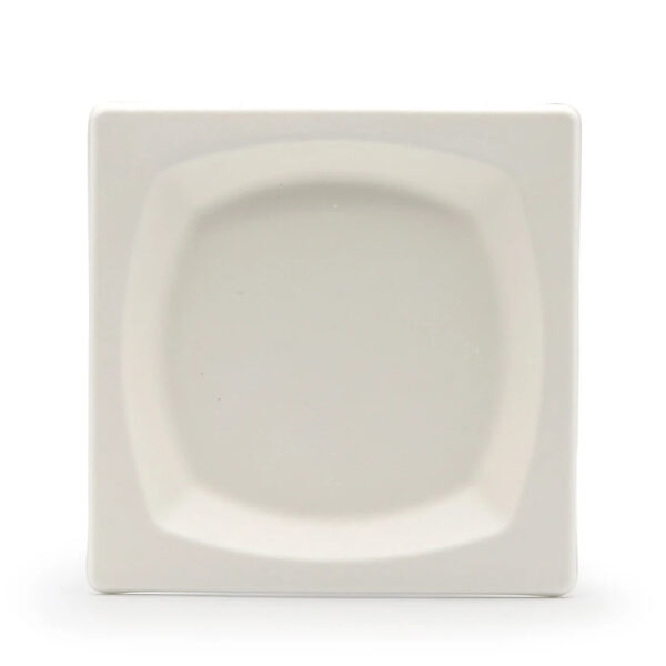 Square Bagasse-Style Plate for Catering Meals