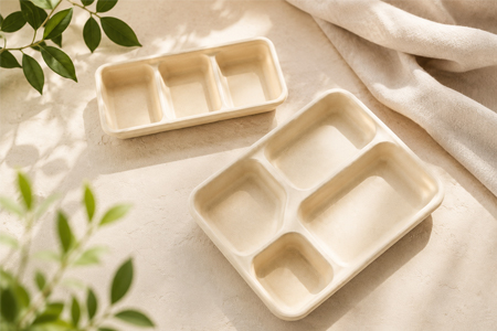 Sugarcane bagasse compartment tray for portion control