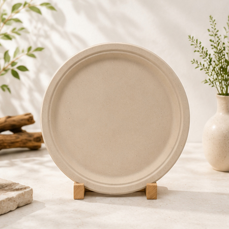 Sugarcane bagasse plates for eco-friendly disposable tableware