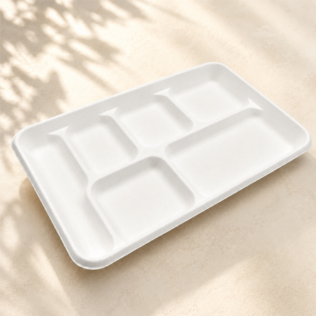Sugarcane pulp tray for meat and deli display