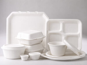 Sustainable Foodservice Packaging Portfolio