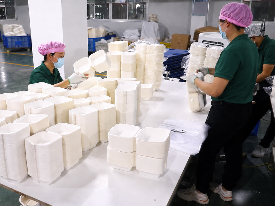 Sustainable Foodservice Packaging Portfolio