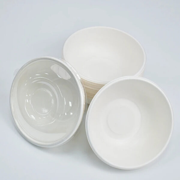 White Bagasse Bowl with Clear Lid for Takeaway Meals
