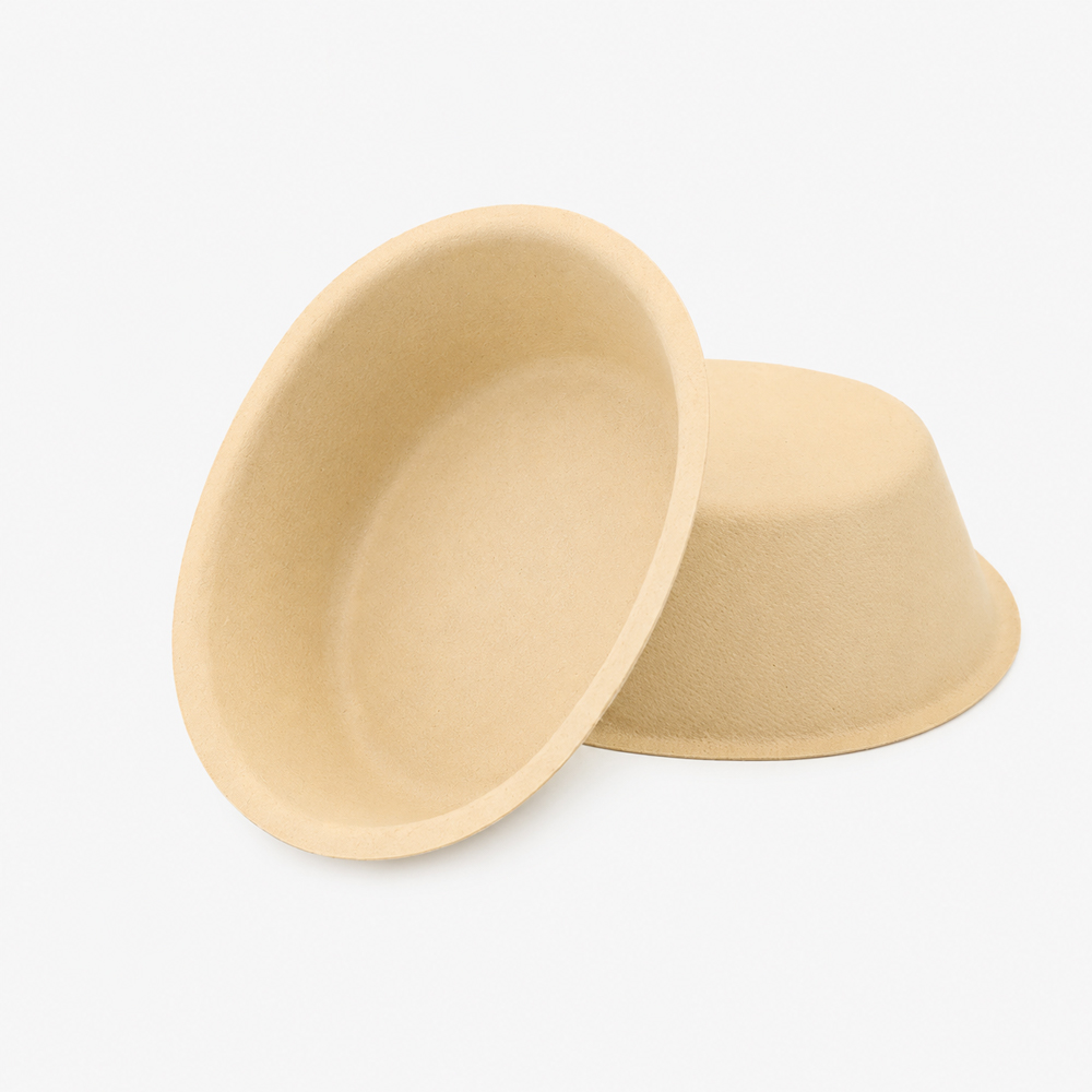Bamboo Pulp Bowl for Salad and Snack Serving