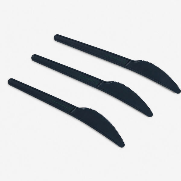 CPLA Knife 6 Inch for Foodservice Supply