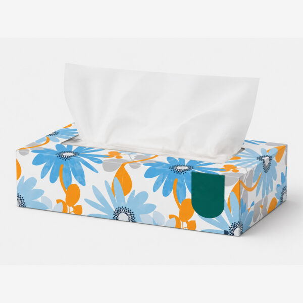Bamboo Lotion Facial Tissue Soft Pack, 100 Sheets