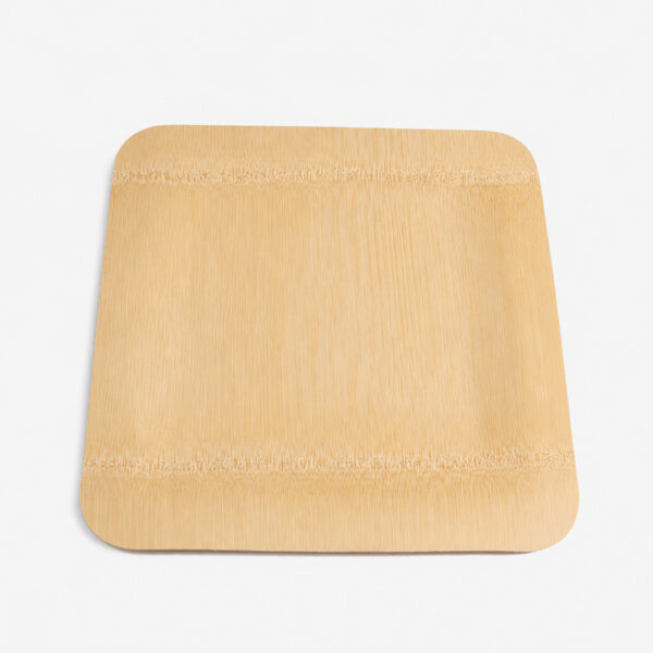 Disposable Bamboo-Style Plates for Catering Service Disposable Bamboo-Style Plates for Catering Service
