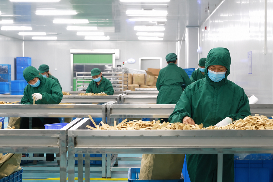 Disposable Cutlery Factory