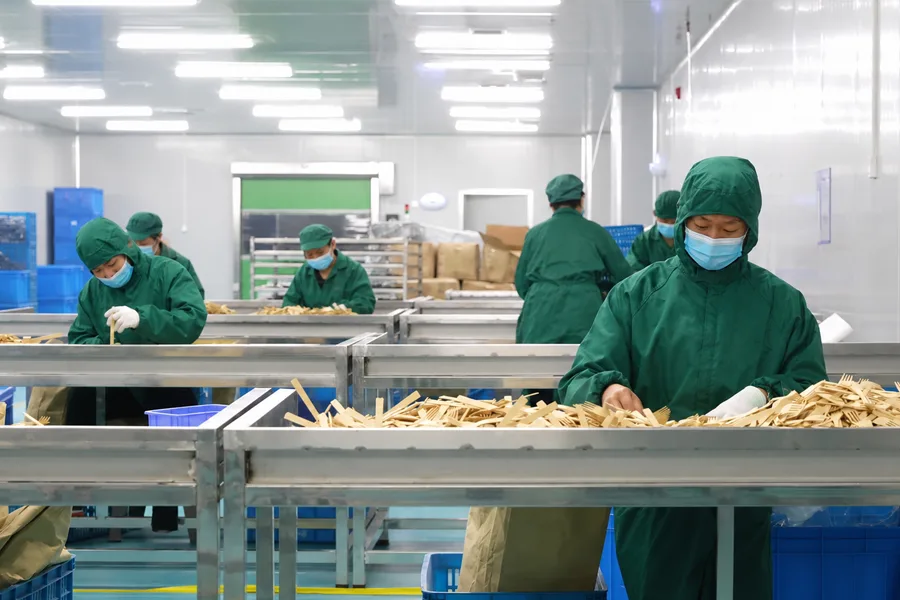 Disposable Cutlery Factory