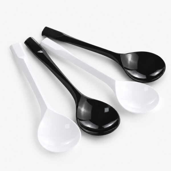 Disposable Spoon with Plastic Appearance for Catering
