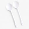 Disposable Spoon with Plastic Appearance for Catering