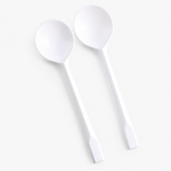 Disposable Spoon with Plastic Appearance for Catering