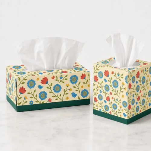 Facial Tissue Boxes in Rectangular and Cube Formats