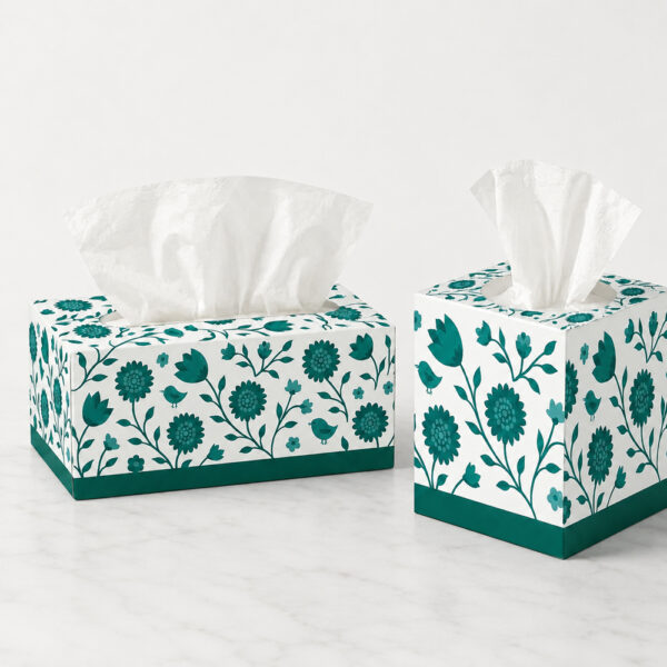 Facial Tissue Boxes in Rectangular and Cube Formats
