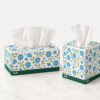 Facial Tissue Boxes in Rectangular and Cube Formats