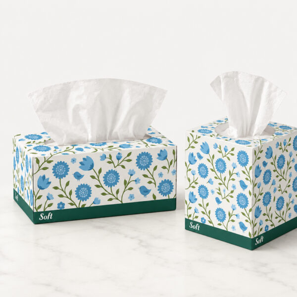Facial Tissue Boxes in Rectangular and Cube Formats