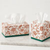 Facial Tissue Boxes in Rectangular and Cube Formats