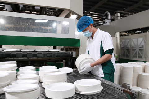 Sugarcane bagasse tableware factory overiew - Ecopack