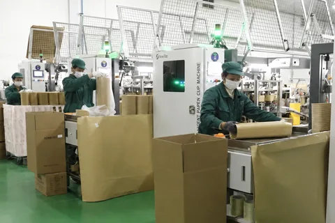 Paper food packaging factory overview