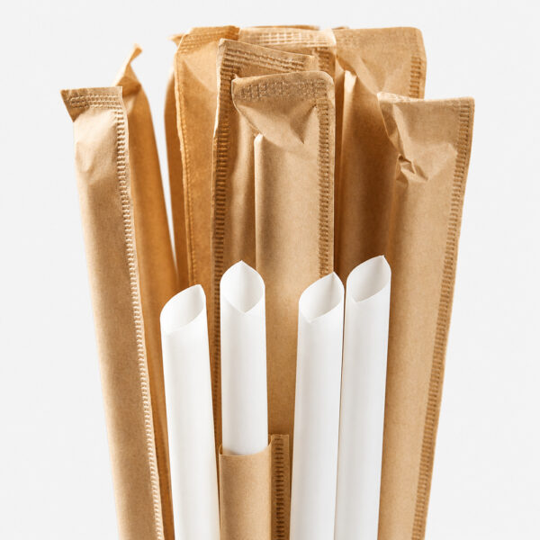 Individually Wrapped PLA Drinking Straws