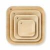 Leaf-Style Disposable Plates for Buffet Catering Leaf-Style Disposable Plates for Buffet Catering