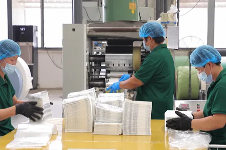 Napkins, Tissues & Papers Factory