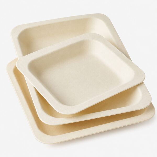 Natural Bamboo Plates for Buffet Food Service