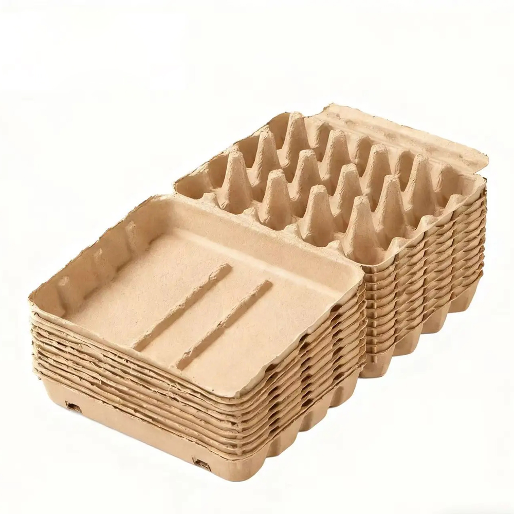 Paper Pulp Egg Carton with Hinged Lid