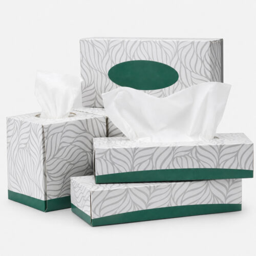 Printed Facial Tissue Boxes for Private Label Supply Printed Facial Tissue Boxes for Private Label Supply