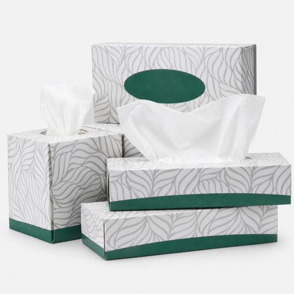Printed Facial Tissue Boxes for Private Label Supply