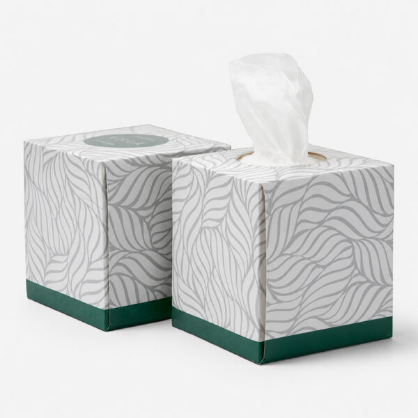 Printed Facial Tissue Boxes for Private Label Supply