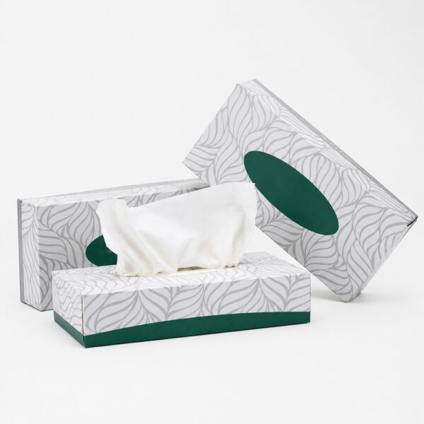 Printed Facial Tissue Boxes for Private Label Supply